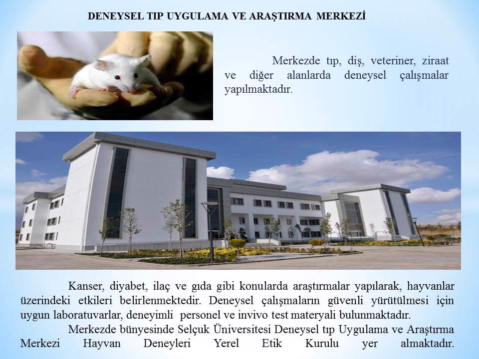 FOTO GALERİ